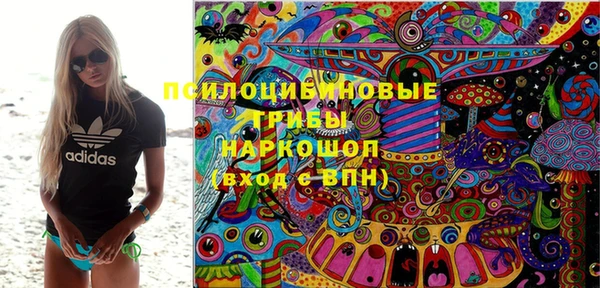эйфоретик Аркадак
