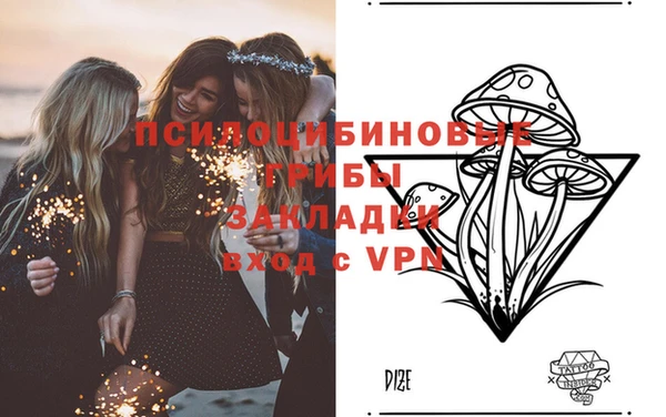 ALPHA PVP Алексин